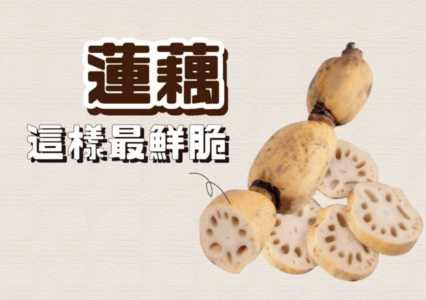 蓮藕粉功效 蓮藕粉功效