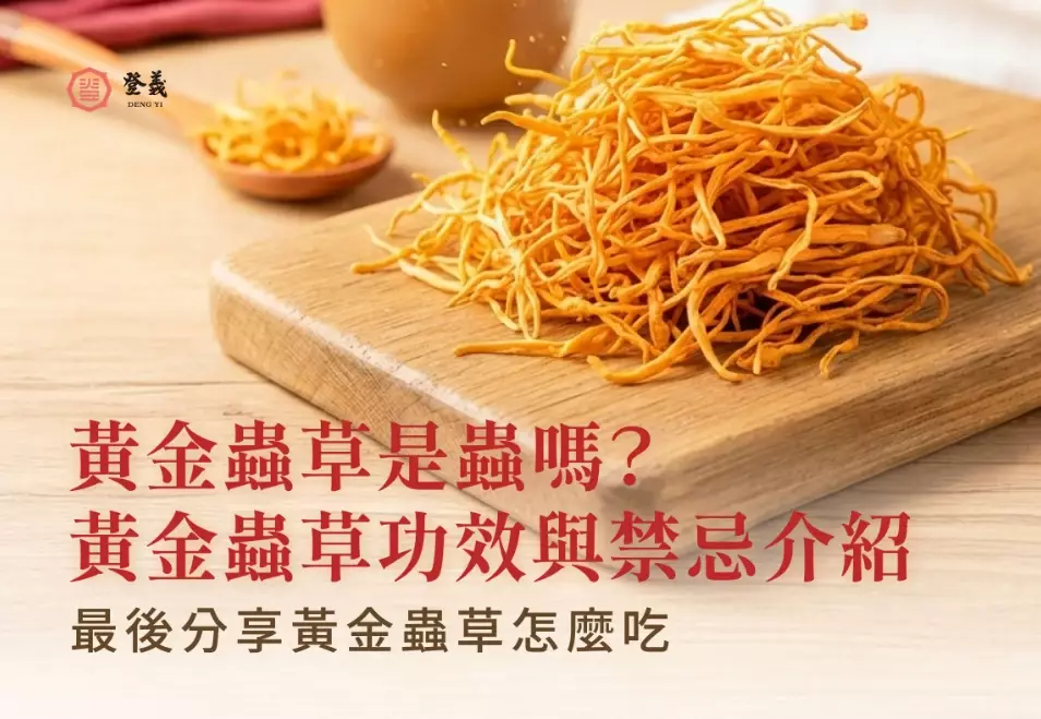 黃金蟲草不能和什麼一起吃 黃金蟲草不能和什麼一起吃