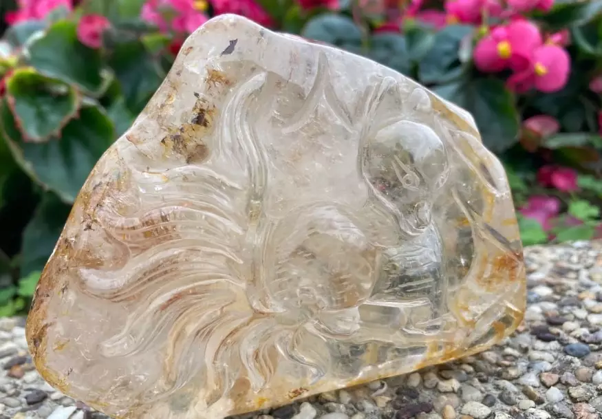 黃膠花水晶功效 黃膠花水晶功效
