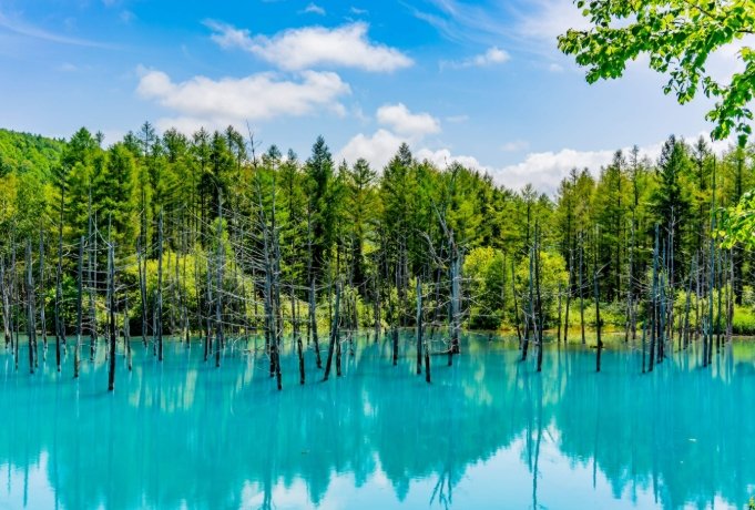 宜蘭推薦民宿：精選10間類型、季節活動指南及訂房避雷攻略