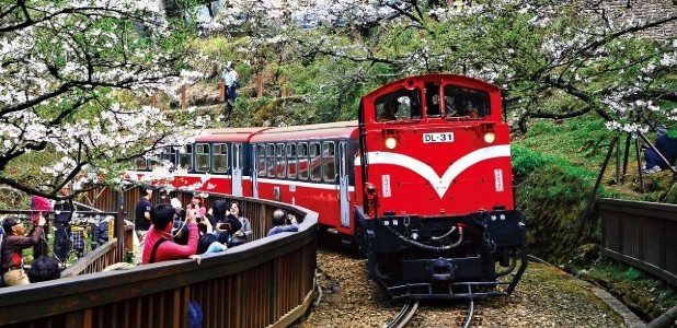 阿里山景點：終極攻略、必訪景點清單與季節推薦指南