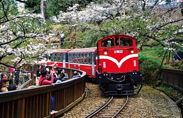 阿里山景點：終極攻略、必訪景點清單與季節推薦指南