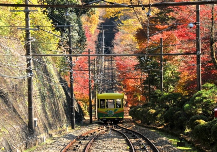 尾寮山步道: 挑戰級上坡考驗、遼闊稜線視野與完整步道資訊