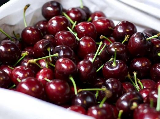 櫻桃功效：不只美味的身體保養品、營養解密、品種比較、食用禁忌、正確食用方式與Q&amp;A指南