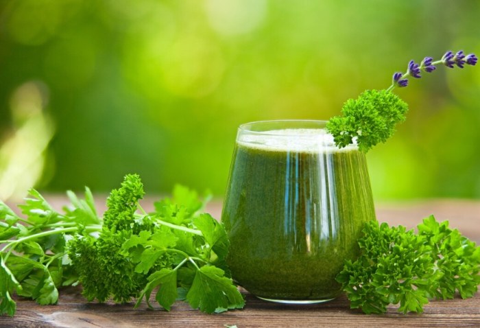 西芹汁功效：營養密碼大公開與有效飲用實戰指南