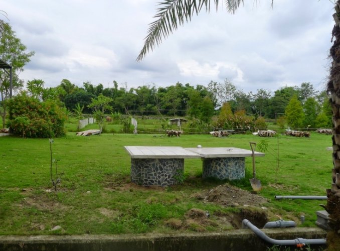 九九莊園：交通指南、景點必去、住宿CP值推薦與美食周邊全攻略