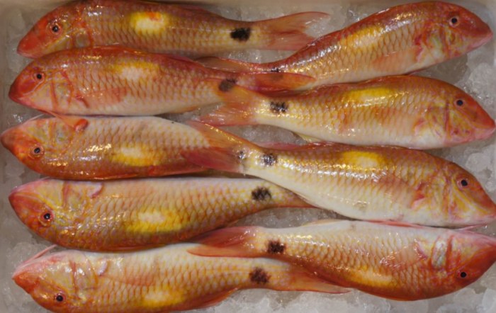 秋姑魚：老饕私藏鮮味料理術與冷知識秘訣全攻略