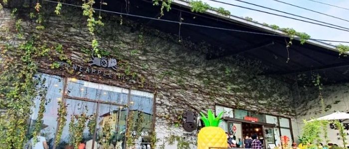 嘉義觀光工廠：金桔、醫美、鳳梨、咖啡工廠特色路線推薦與秘訣
