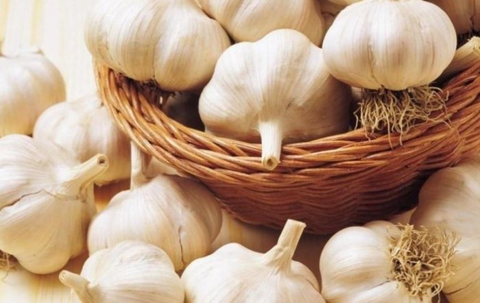 大蒜精功效：健康火力支援、營養核心、禁忌事項與正確食用訣竅