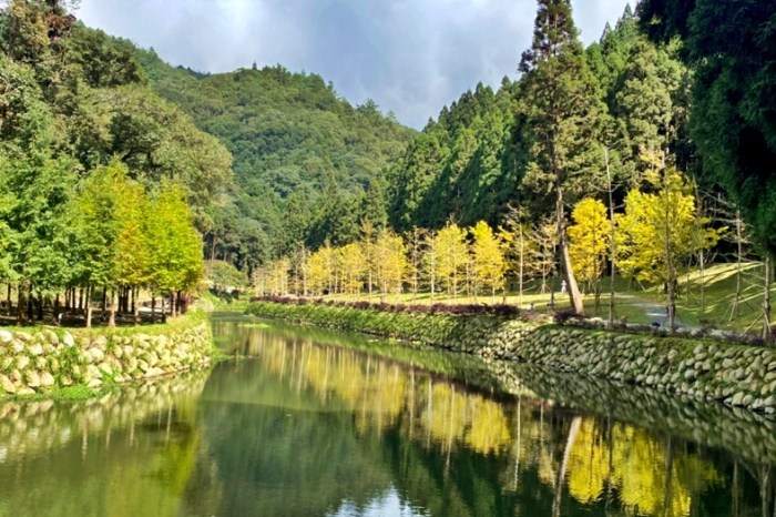 溪頭附近景點：熱門景點推薦與實用旅遊攻略指南