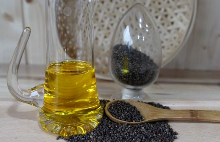 紫蘇油功效：健康益处、營養價值解析與食用指南