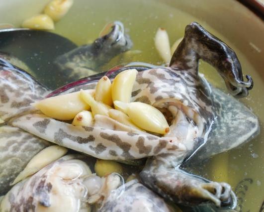 青蛙湯：探索台南老店、營養秘訣與自製食譜全攻略