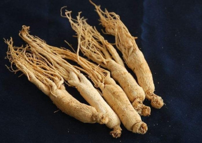 人參功效：營養價值解密、禁忌注意與食用秘訣全攻略