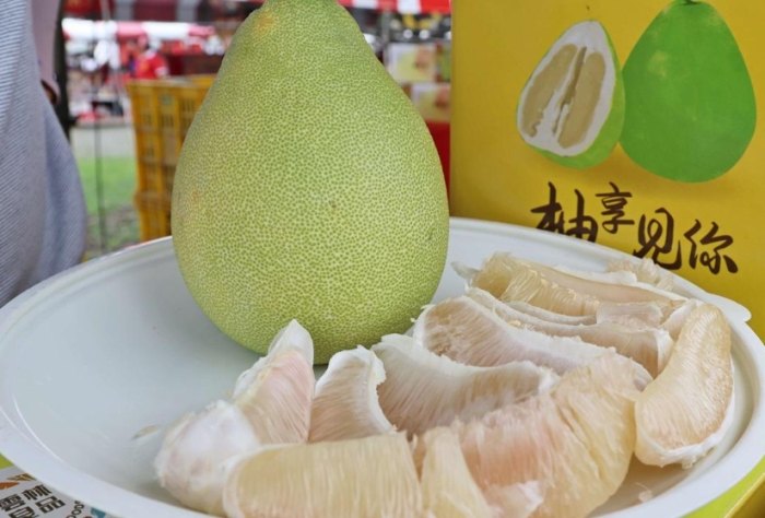 斗六名產：精選伴手禮與風味指南