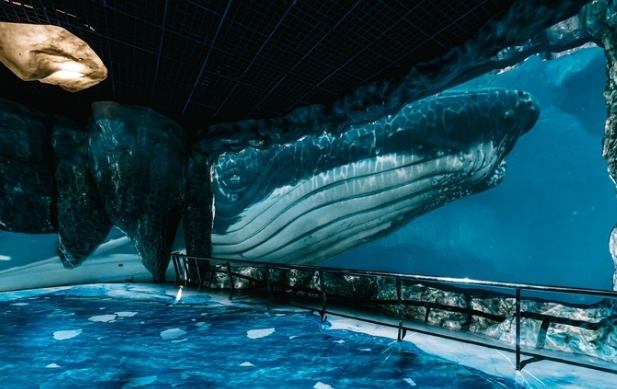 國立海洋生物博物館：墾丁必遊全攻略！門票聰明買、交通住宿美食一次掌握