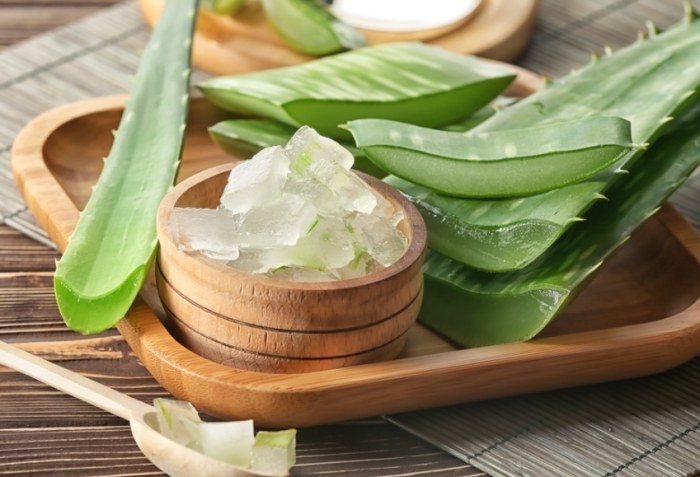 蘆薈敷臉功效：不只保濕，修復肌膚禁忌與挑選全指南