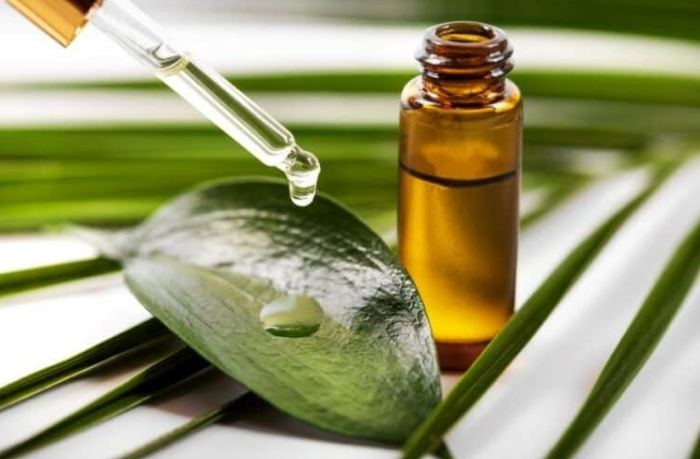 苦橙葉精油功效：從壓力紓解、安眠助眠到肌膚平衡的全方位守護者