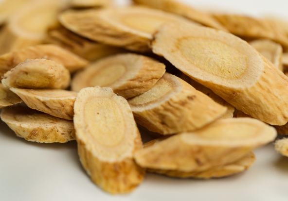 黃耆功效：身體防護盾牌、能量充電站與營養禁忌全攻略