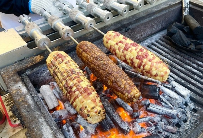 斗六人文夜市：神級美食×停車攻略×高CP住宿全指南