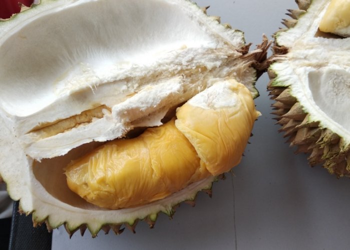 亞羅街夜市：吉隆坡夜貓子美食天堂攻略與必吃清單