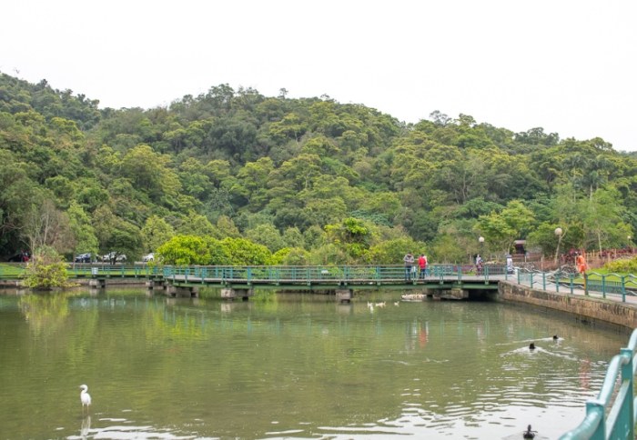 龍潭湖公園：免費入園、環湖生態步道與划船等豐富體驗