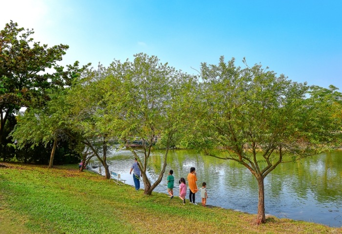 彰化溪湖：葡萄園小鎮旅遊全攻略，景點交通美食住宿一次掌握
