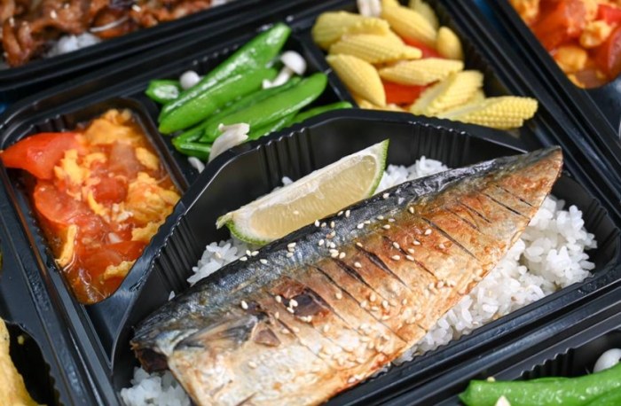 魚便當：美味午前不翻車終極訣竅大公開