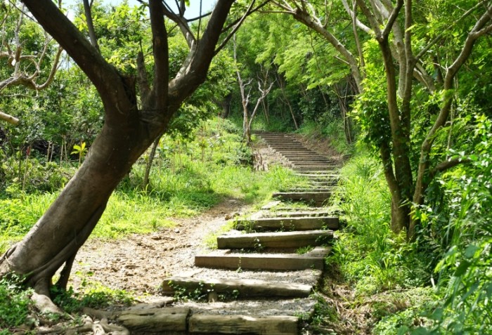 車城龜山步道：完整步道資訊、路線導覽與周邊景點介紹
