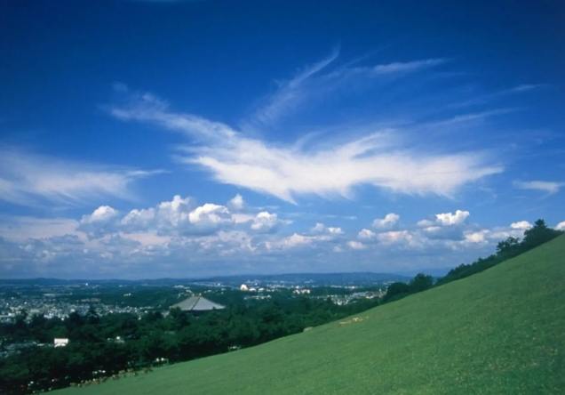 若草山：完整旅遊指南與必去景點美食住宿全攻略