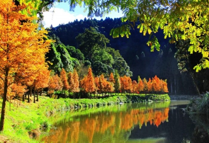 杉林溪森林遊樂區：四季驚喜、交通路線、住宿推薦完整攻略指南