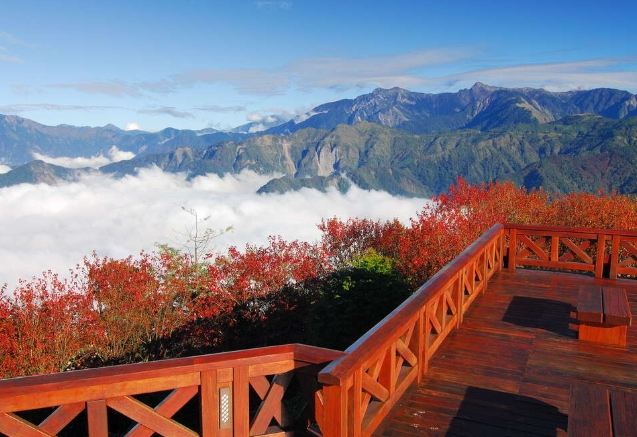 小笠原山觀景臺：阿里山絕景交通住宿全攻略