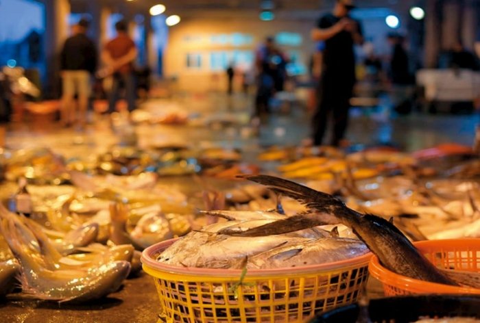 馬公第三漁港 : 交通便利、景點豐富與隱藏美食指南