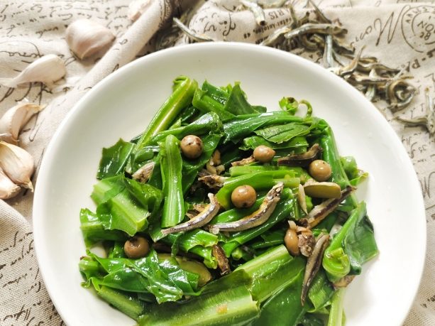 烏來雲仙樂園：全方位旅遊攻略，含交通住宿與必玩清單