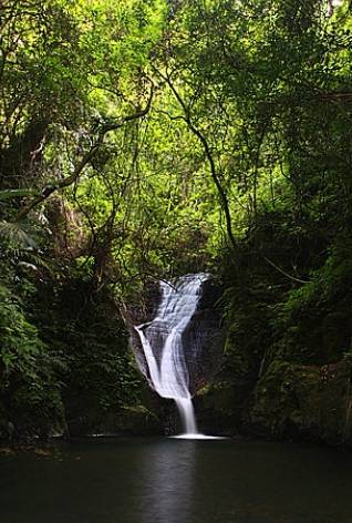 宜蘭縣礁溪鄉五峰旗瀑布：交通攻略、絕景步道、礁溪溫泉住宿全指南