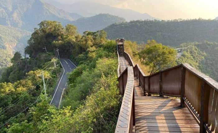 柴山步道：在地人攻略、生態探索與安全應對全指南