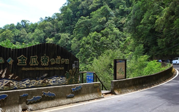 金瓜寮魚蕨步道：沁涼綠隧道指南與坪林山城小旅行秘訣