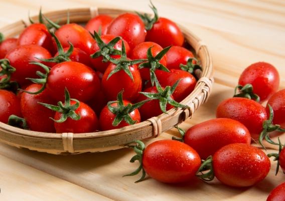 小番茄種植要點：選品種、準備到採收全攻略與Q&amp;A解惑