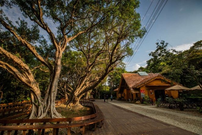 五酒桶山：登山步道、夜景景點、交通門票、美食住宿全攻略