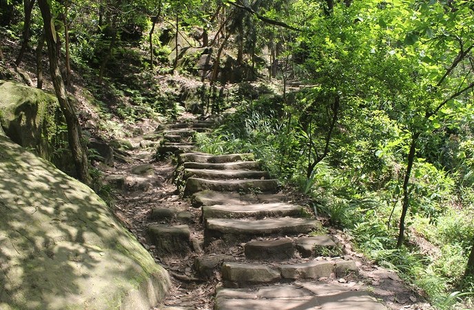 大屯山步道：火山步道探險、交通挑戰與景點全攻略