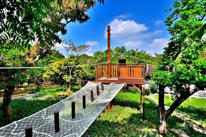 大坑6號步道：垂直挑戰與絕美景觀全資訊指南