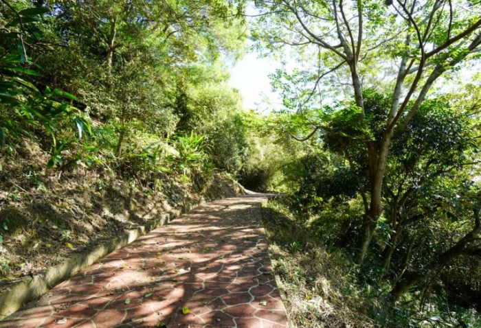 秀才步道：完整步道指南、交通停車與周邊景點懶人包