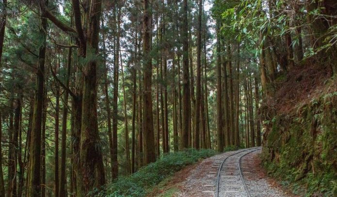 特富野古道一日遊