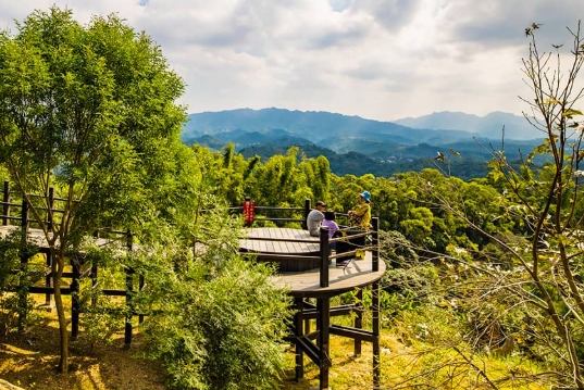 大坑步道路線圖：規劃登山安全路線與步道資訊詳解