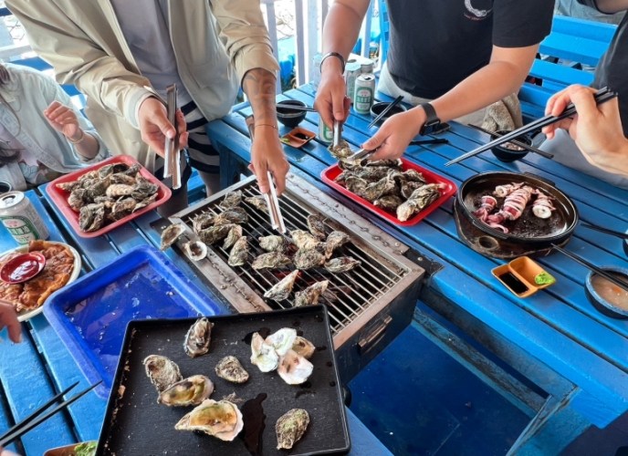 星光海洋牧場：澎湖海上漂浮樂園，明星動物、特色活動與住宿推薦