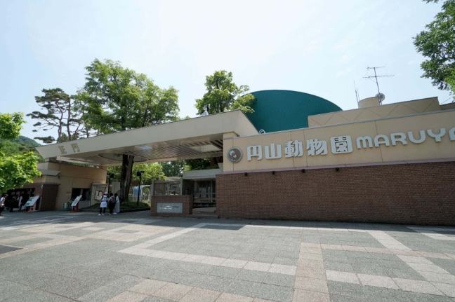 圓山動物園：門票價格、交通秘笈、美食住宿全攻略