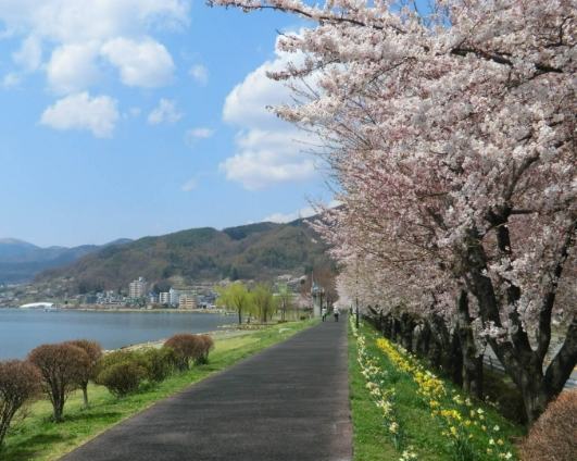 諏訪湖：免費自然奇景全年無休，交通景點住宿美食全攻略