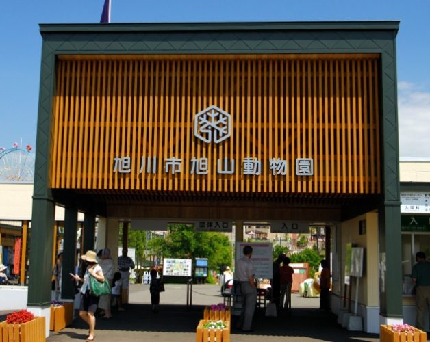 旭川市旭山動物園：交通攻略、企鵝散步、明星館舍與美食住宿省時指南