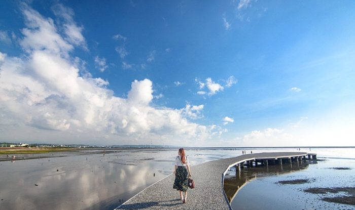 新竹賞蟹步道：賞蟹濕地生態完整指南與順遊攻略