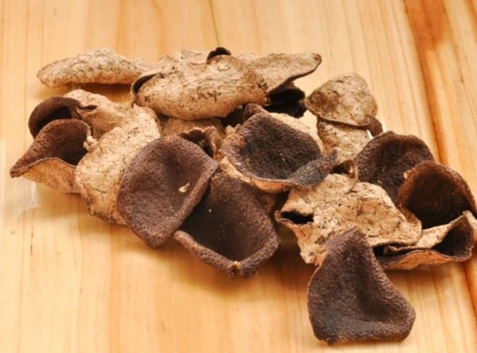 陳皮功效：從廚房無名英雄到中醫寶藏的全面解析