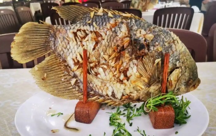 象魚：臺灣老饕推薦部位排行、經典羹粥料理與Q&amp;A全攻略